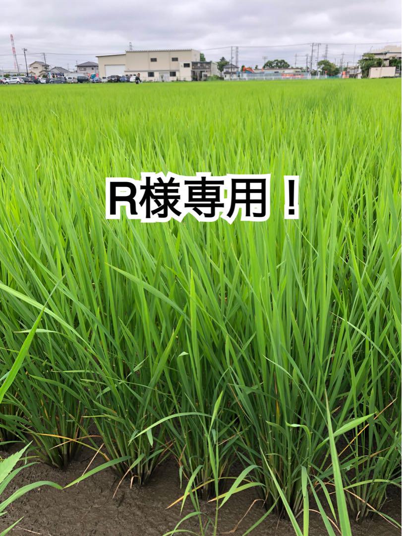【白米20kg】R様専用！