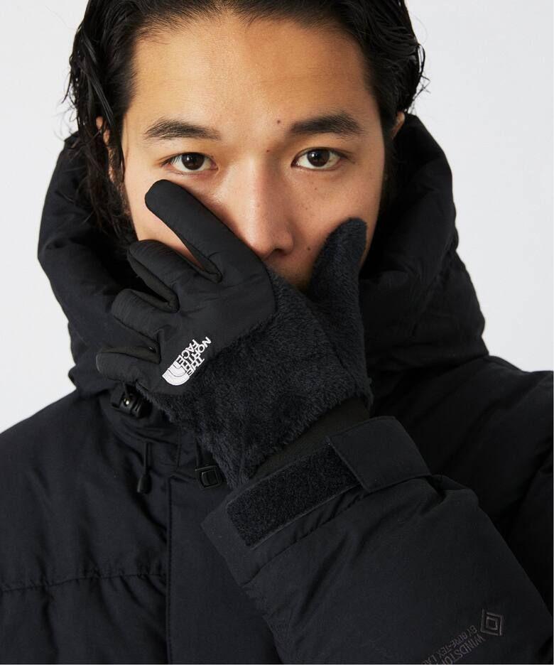 THE NORTH FACE デナリイーチップグローブ NN62312　サイズＬ