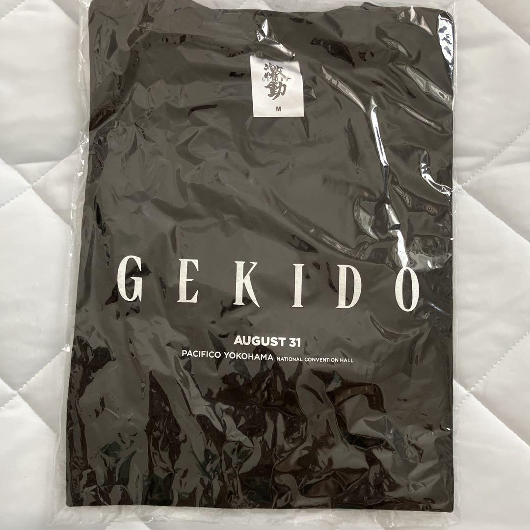 ストグラ　激動　Tシャツ　マフラータオル　ペンライト