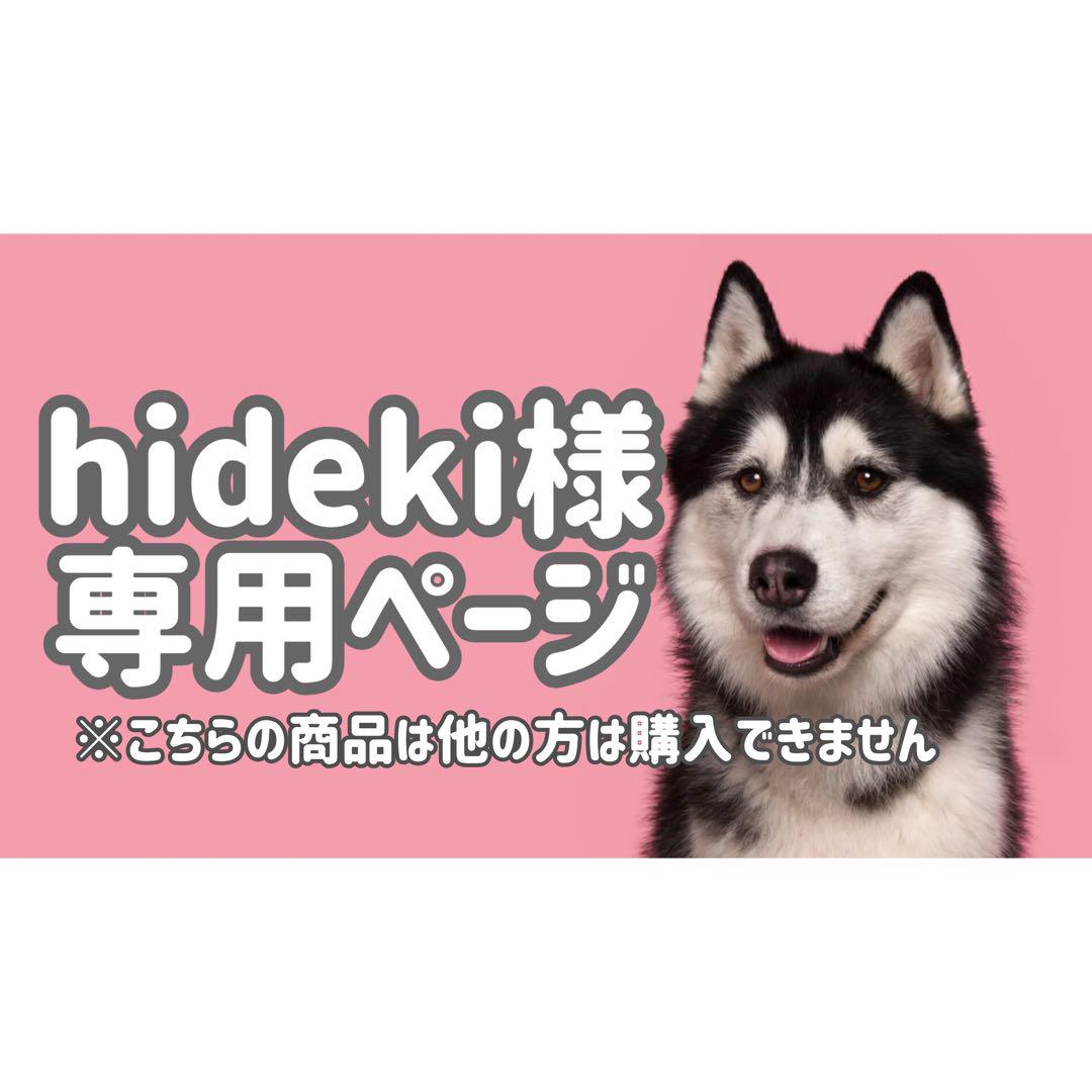 MS◯●hidekiページ●◯