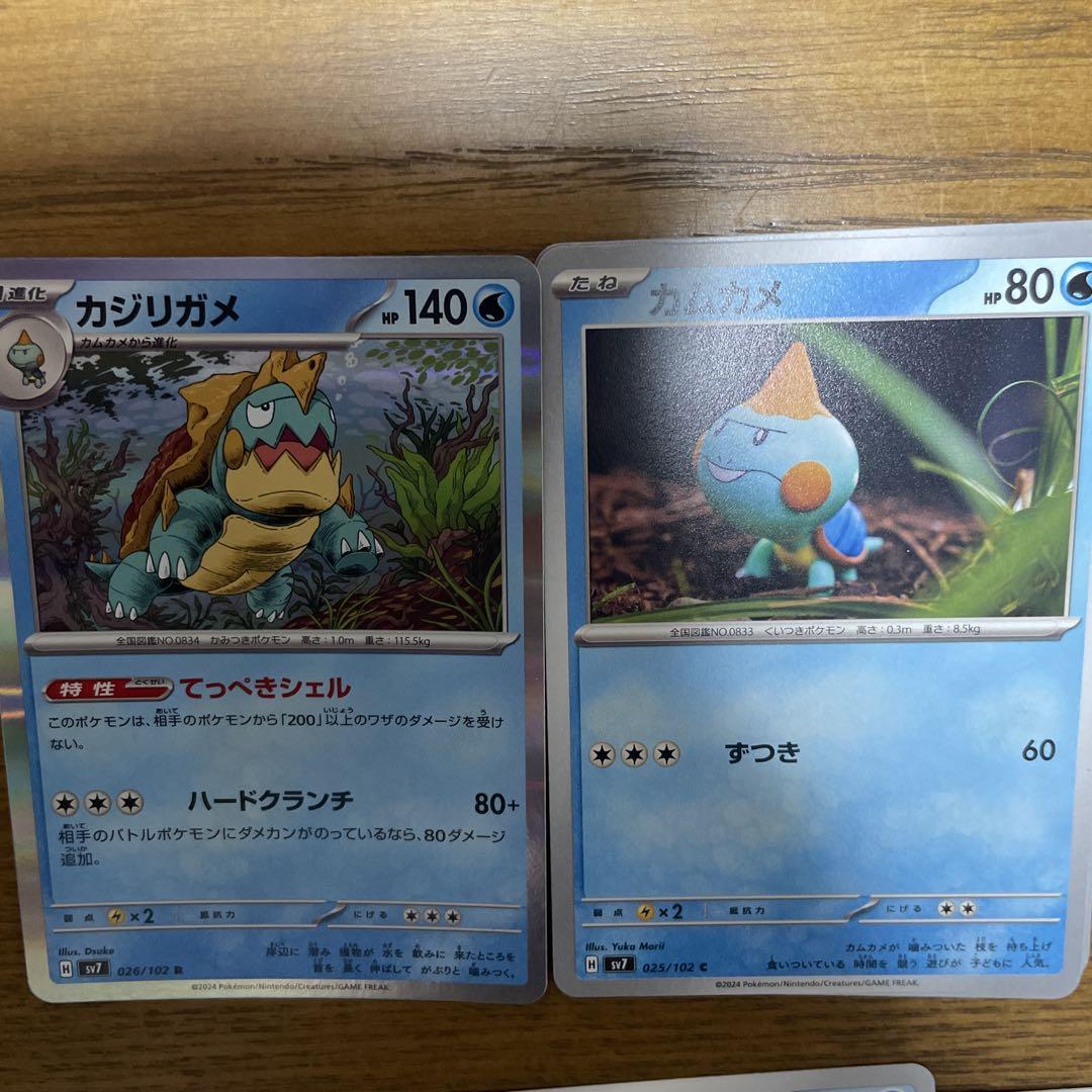 カジリガメ系列　バラ売り可能