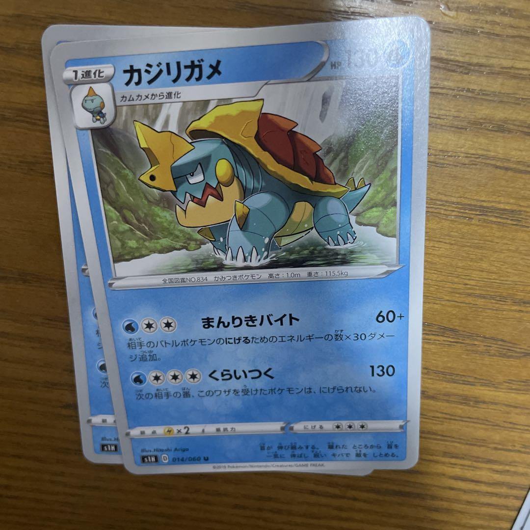 カジリガメ系列　バラ売り可能