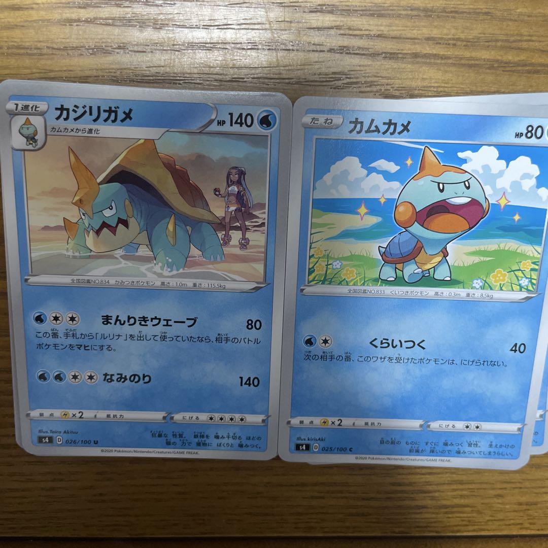 カジリガメ系列　バラ売り可能