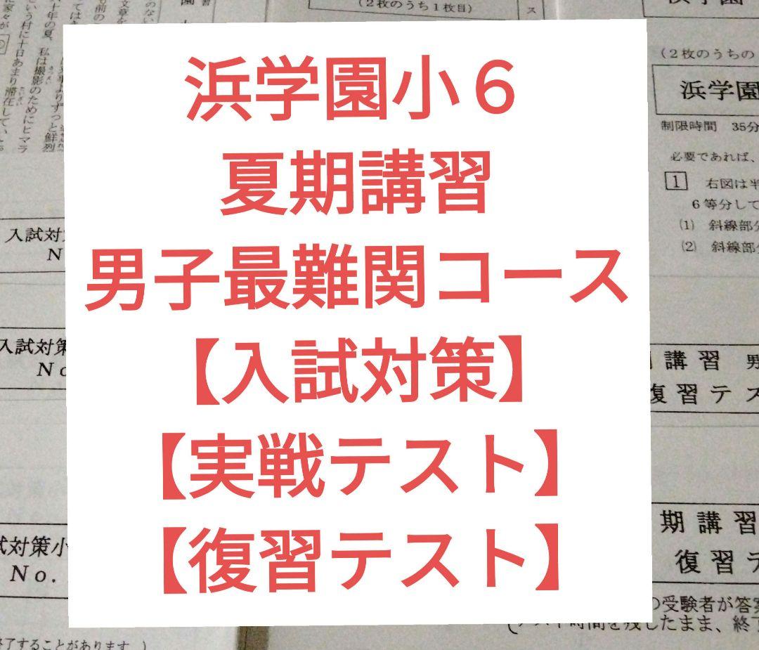 浜学園　理科　小6 V0　復習テスト　最難関　灘中　甲陽　開成 浜学園 理科 小6 V0 復習テスト 最難関 灘中 甲陽 開成 語学・辞書・