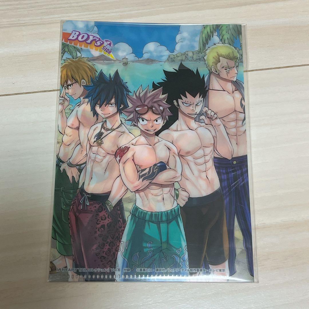 フェアリーテイル FAIRYTAIL クリアファイル 水着 海 限定