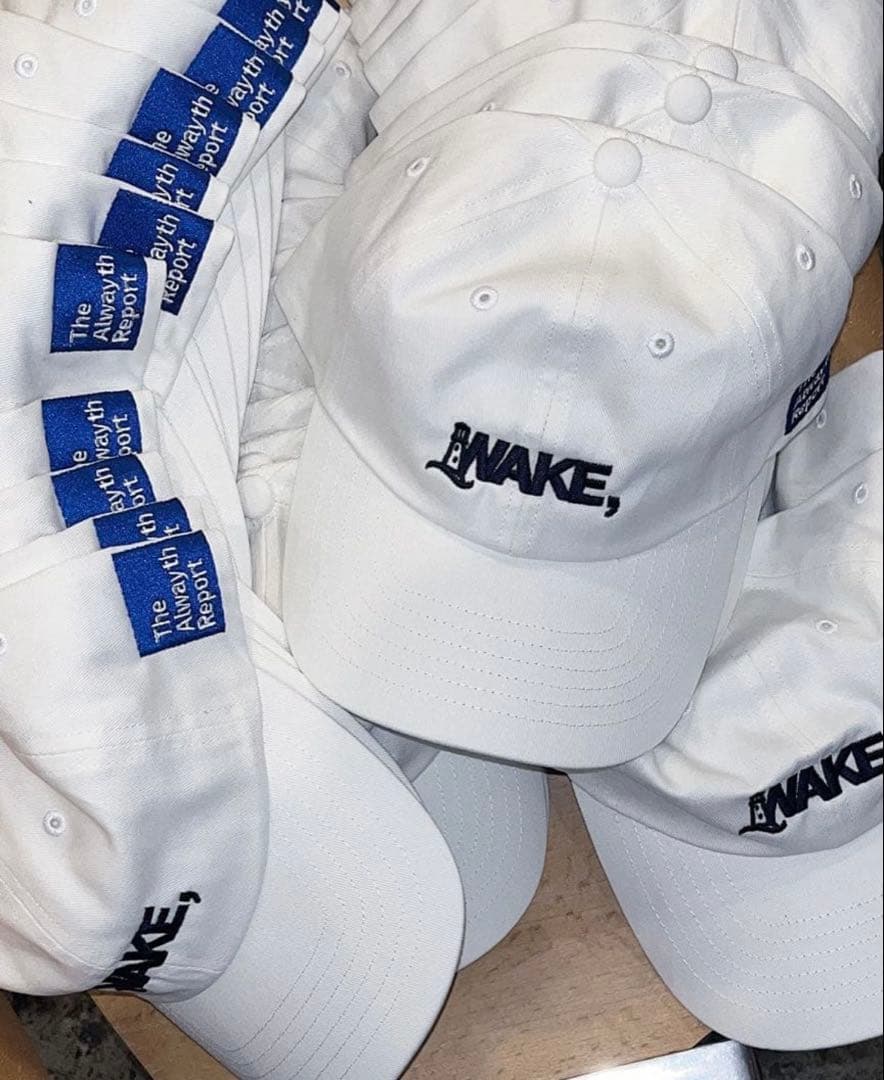 wake sapporo alwayth キャップ1LDK SELECT