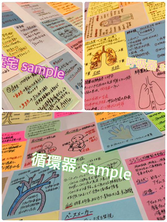定番最新作 まとめ価格 看護師国家試験対策 大量付箋 暗記カード 解剖生理学 付箋ノート ub3Sv-m46696861771 爆買い在庫