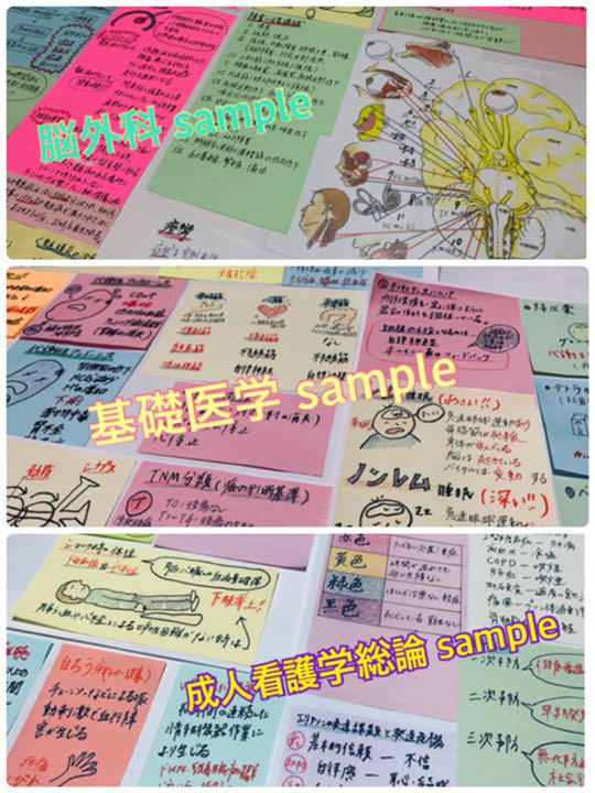 定番最新作 まとめ価格 看護師国家試験対策 大量付箋 暗記カード 解剖生理学 付箋ノート ub3Sv-m46696861771 爆買い在庫