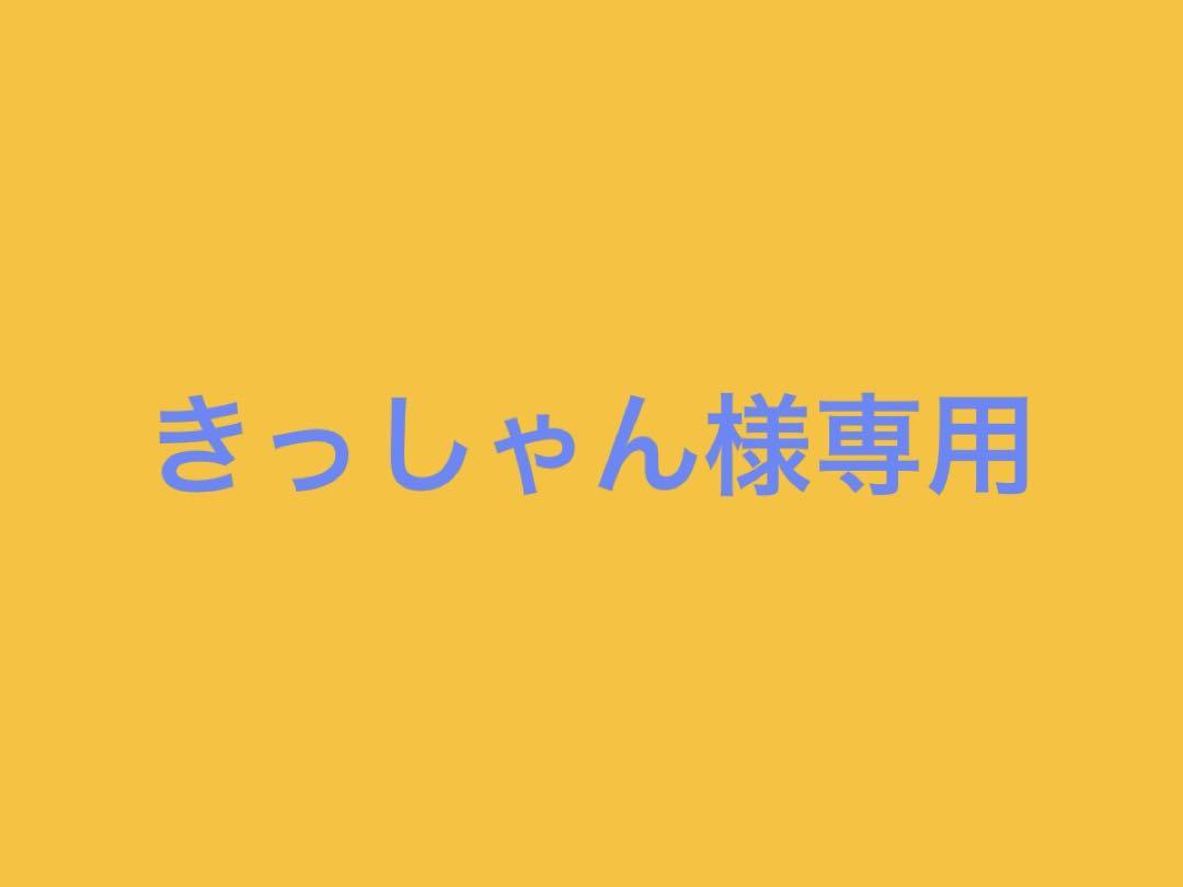 きっしゃん様専用