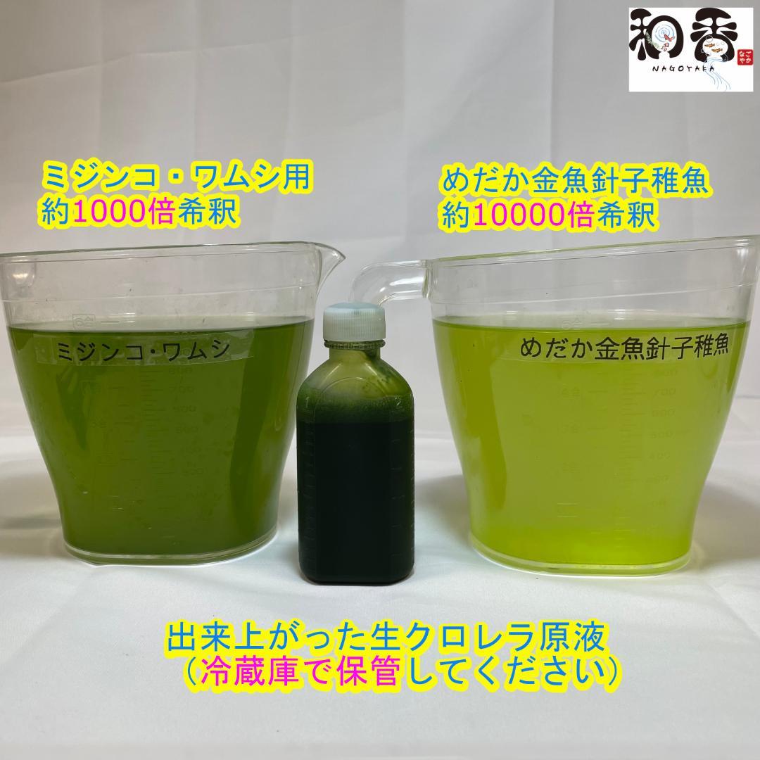 販売の最低価格 和香特選粉末生クロレラ300ml めだか金魚稚魚ミジンコ