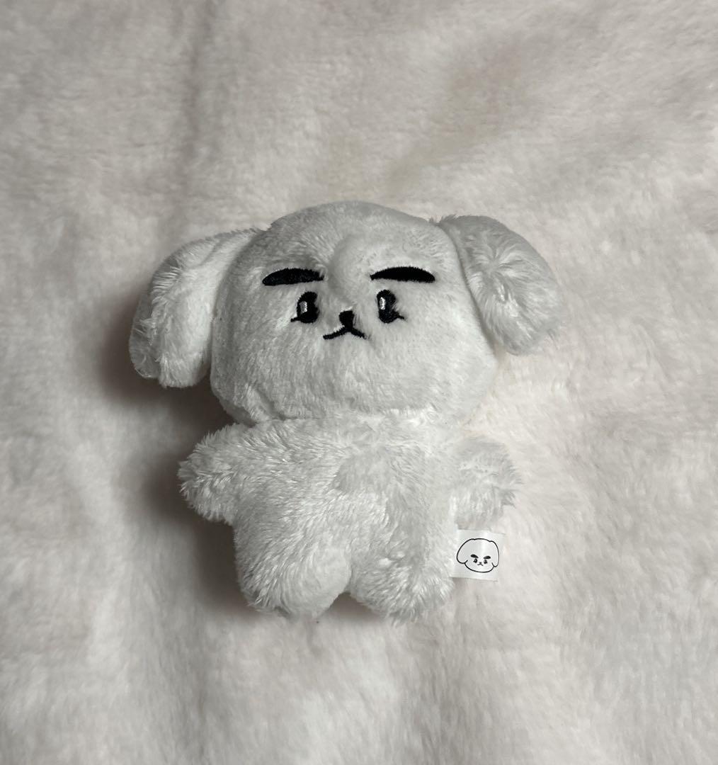 WayV 威神V シャオジュン ぬいぐるみ 10cm マスター - メルカリ