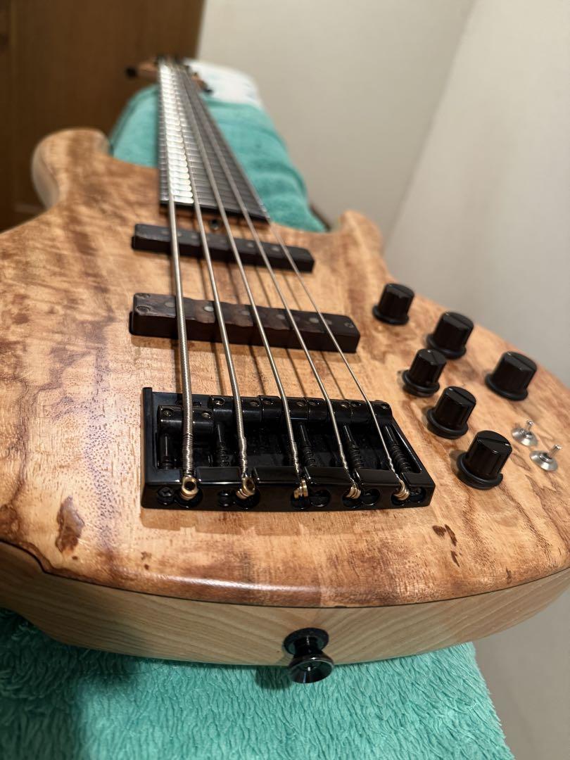 【最終値下げ】Dragonfry CS-5/345custom 5弦