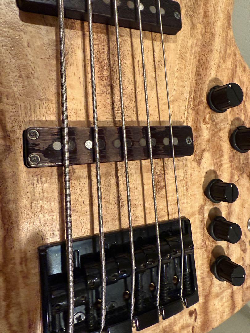 【最終値下げ】Dragonfry CS-5/345custom 5弦
