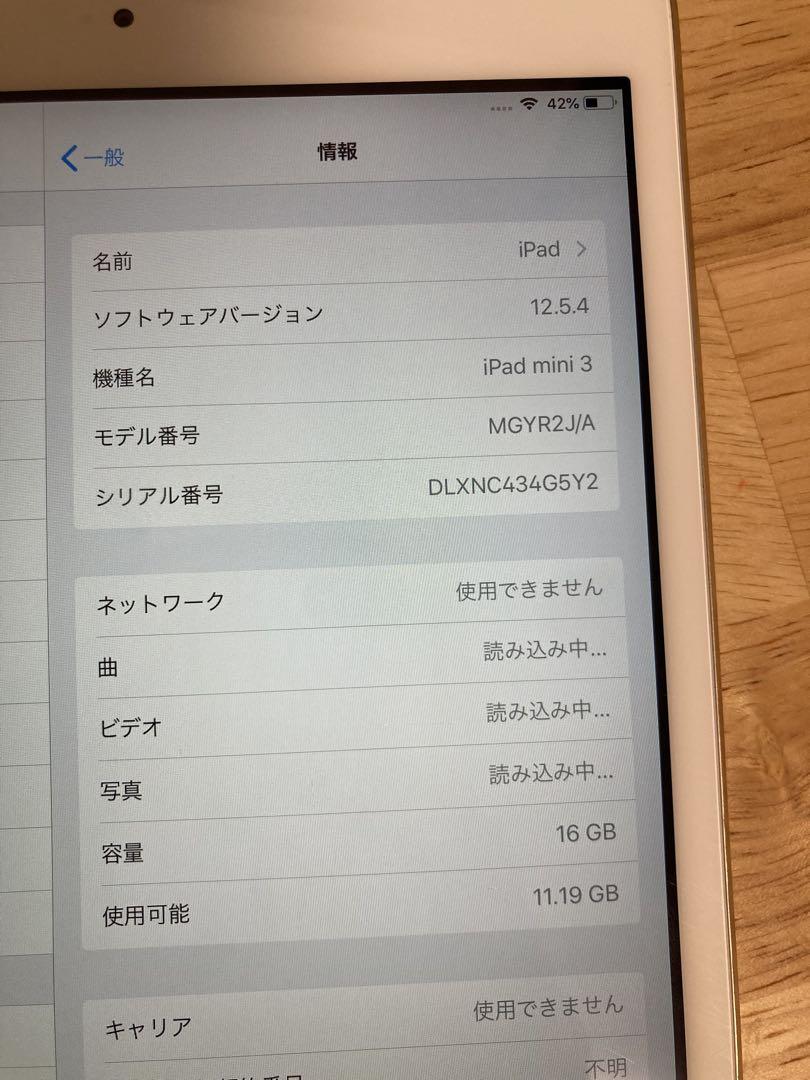 Apple iPad mini 3本体