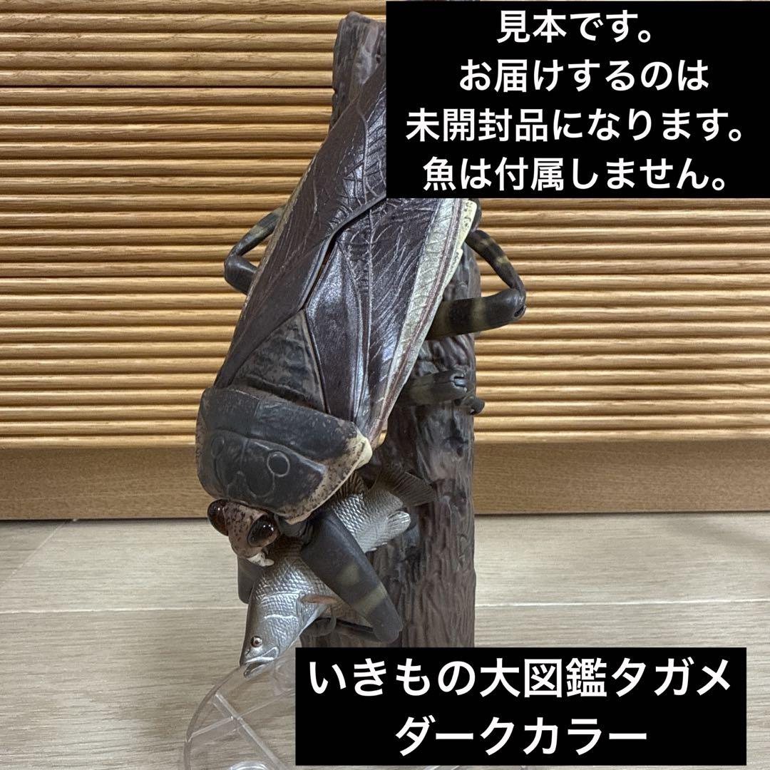 いきもの大図鑑アドバンス タガメダークカラー ディスプレイ