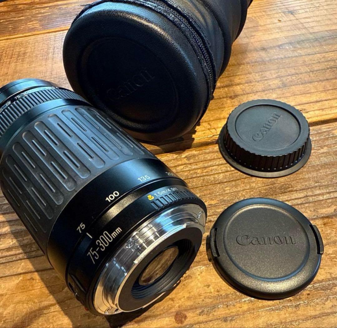 望遠レンズ Canon EF 75-300mm F4-5.6 USM #222