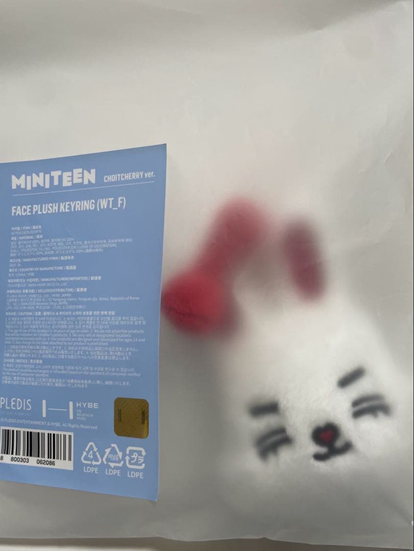 SEVENTEEN MINITEEN キーリング エスクプス - メルカリ