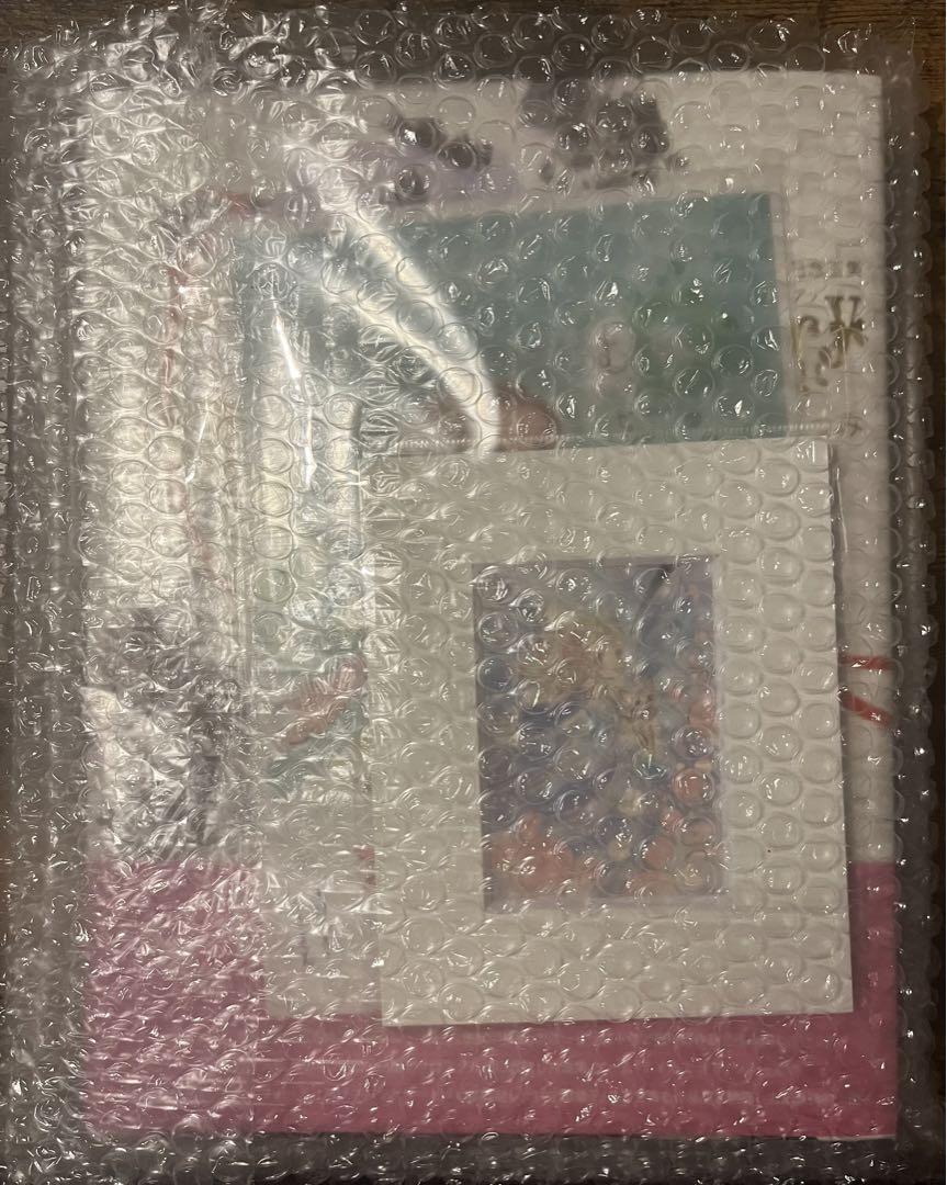 サンクチュア いのまたむつみ 画業 40周年記念画集 グラフライト 冊子