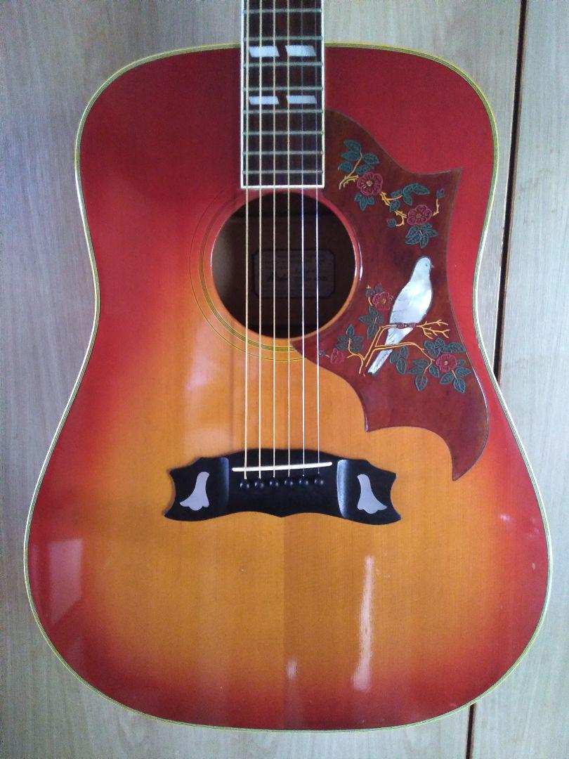 Rider custom model j-300DS 林楽器 - ensino.favale.edu.br Rider custom model j-300DS 林楽器 - ensino.favale.edu.br