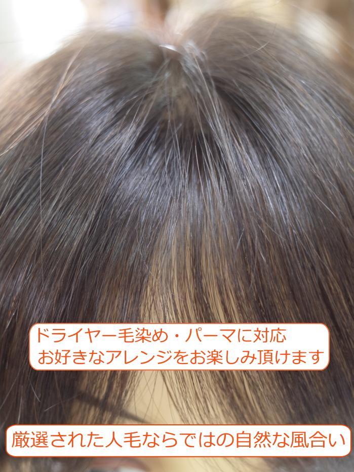 センター分けＬサイズ