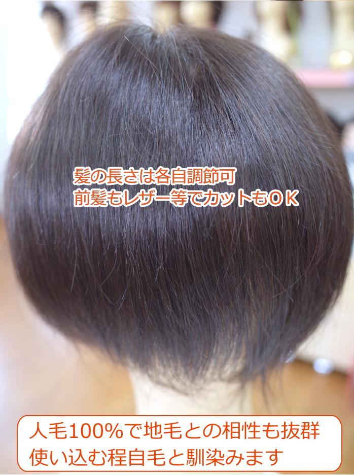 女性用ヘアピース