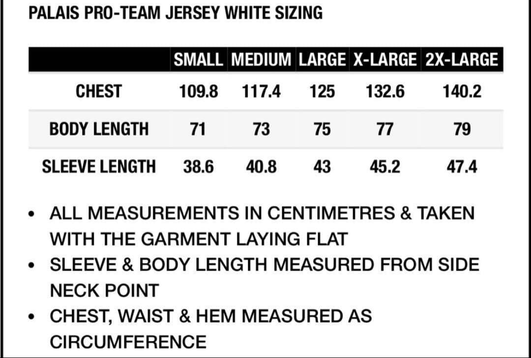 PALACE Palais Pro Team Jersey