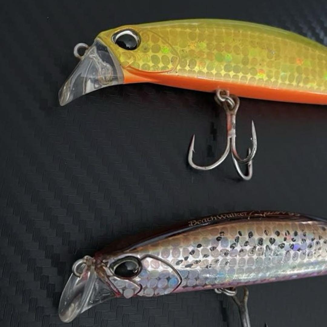 Beach Walker Fulcrum - SALT｜製品情報｜DUO International