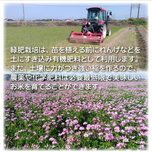 ★kazoo様★専用【特別栽培米 朝日】10kg