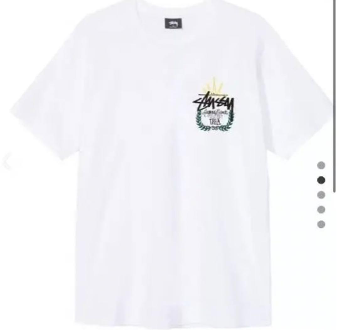 海外 正規品】 stussy tシャツ Tシャツ/カットソー(半袖/袖なし