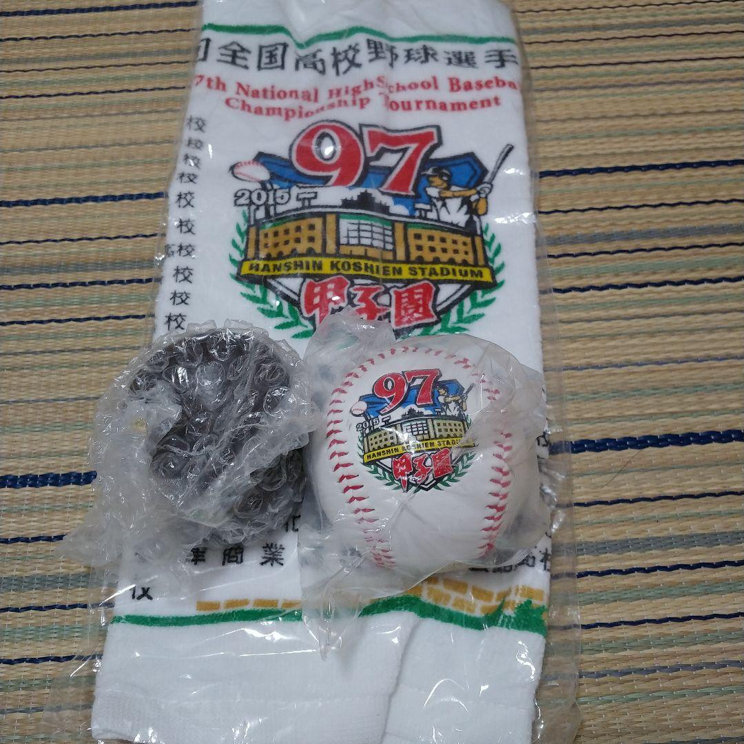 第97回全国高校野球選手権大会 優勝ボール タオル メルカリ
