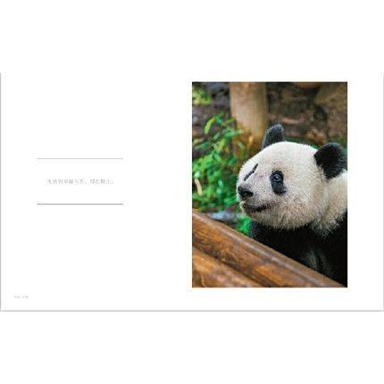 上野動物園パンダシャンシャン写真集（日本未発売）「被宠溺的表情　香香在东京」国宝 上野動物園パンダシャンシャン写真集（日本未発売）「被宠溺的