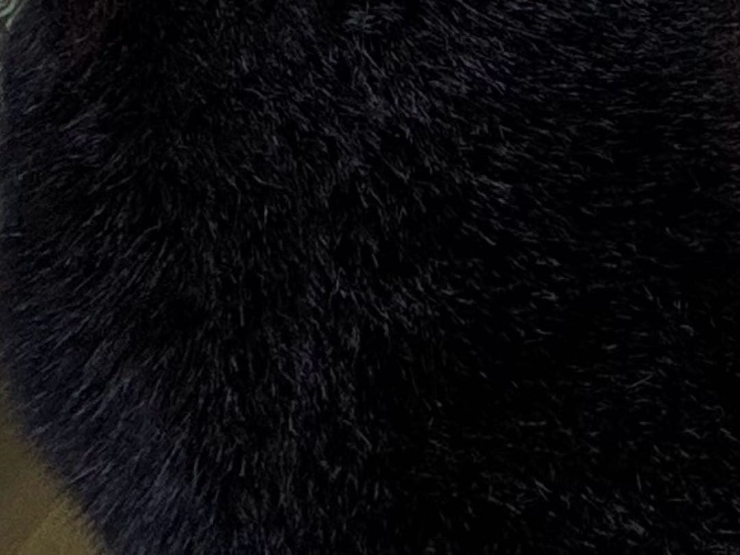 黒ファー アニメ風ぬいぐるみ目立った傷や汚れなし