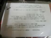 トラクサス　E-REVO　1/8？　1/10？ツインM　新品
