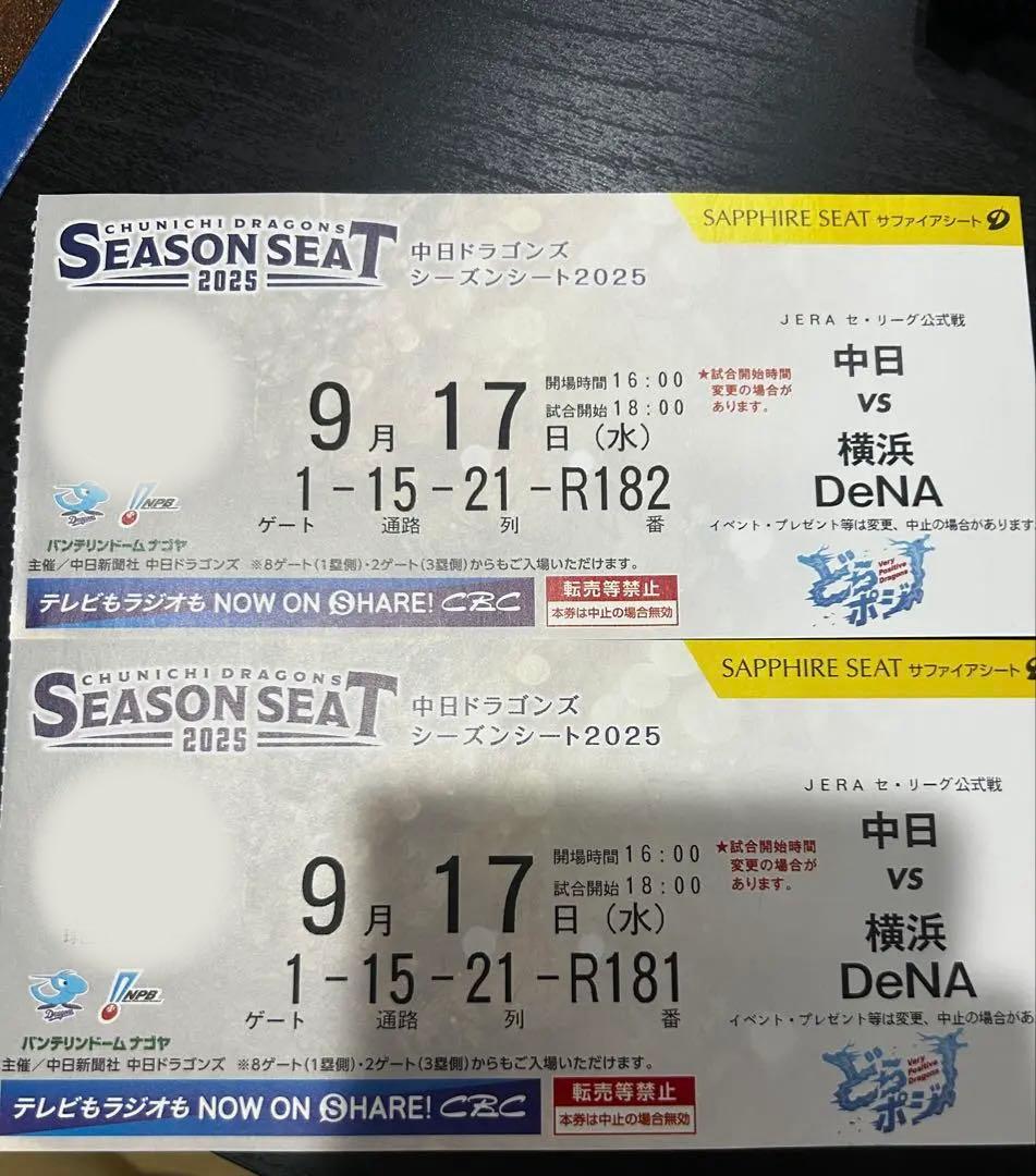 中日 vs 横浜 DeNA サファイアシート 通路側ペア