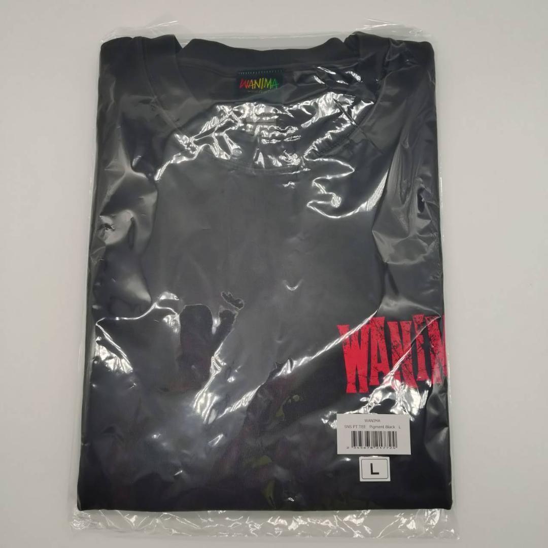WANIMA Sorry Not Sorry Tour Tシャツ L 黒