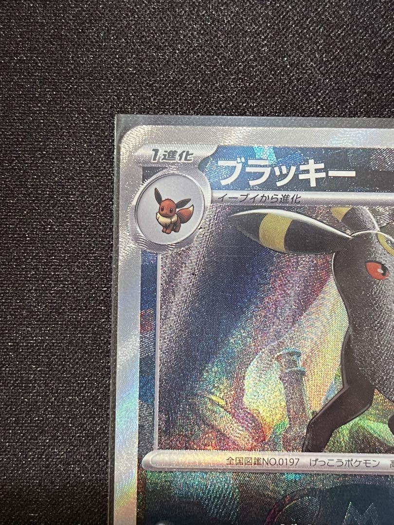 ブラッキーex SAR マスターボールミラー　2枚セット　テラスタルフェスex