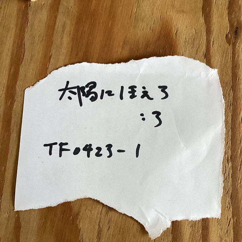 太陽にほえろ【3枚】 TF0423-1 レコード 昭和ポップス 歌謡曲