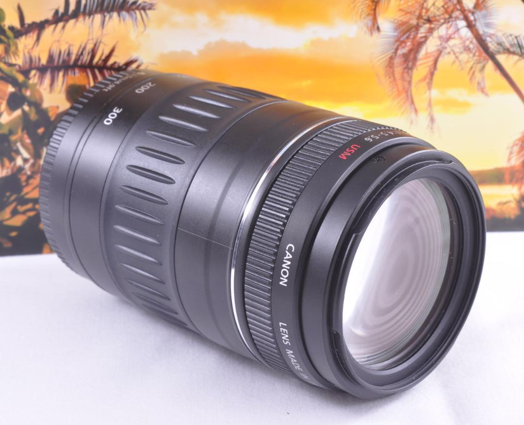 もっともっと遠くへ！Canon キヤノン 望遠レンズ EF90-300mm #5 もっと遠くへ！ キヤノン望遠レンズ Canon EF90-300mm