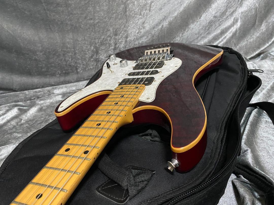SCHECTER SD-2-24 AS 国産本格モデル！ アッシュボディ