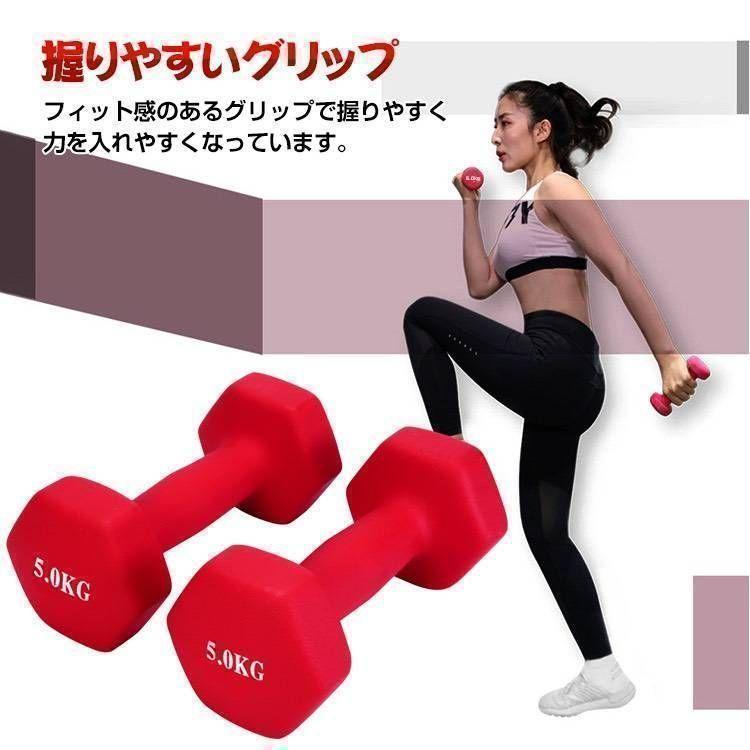 ダンベルセット5キロ×２個計10キロ5kg計10kg鉄アレイ【青】B