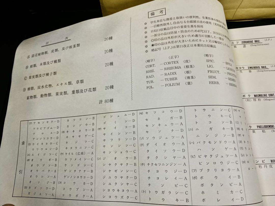 古い漢方薬 生薬標本一覧 80種 中井廣進堂　医学部　薬学部　漢方医 東洋医学