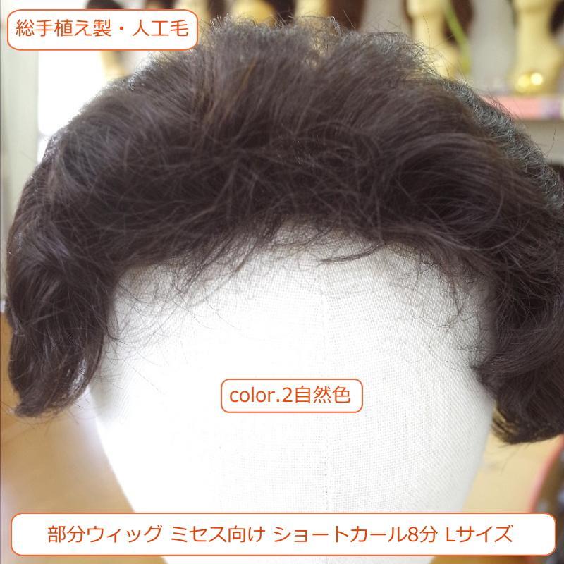 部分ウィッグ8分
