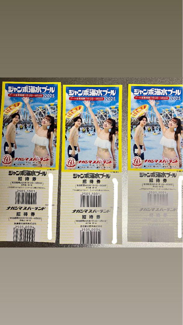 ナガシマスパーランド　海水プール 入場券　3枚