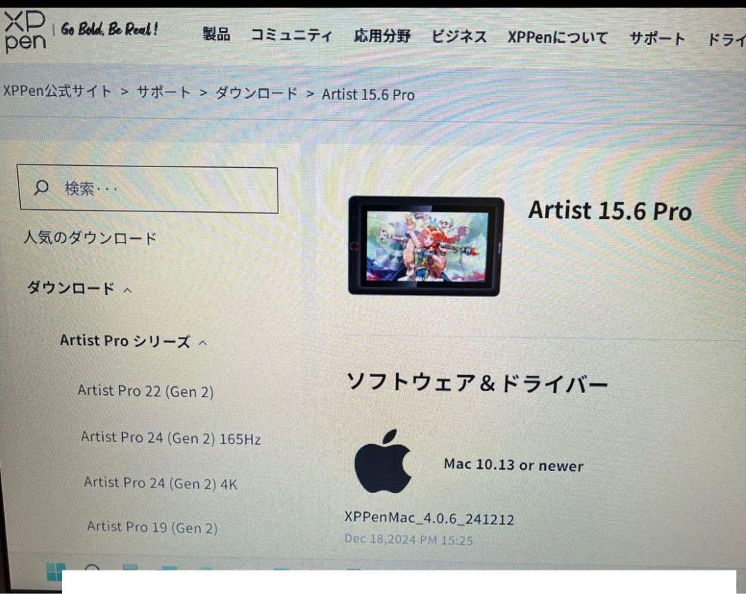 15.6 Pro