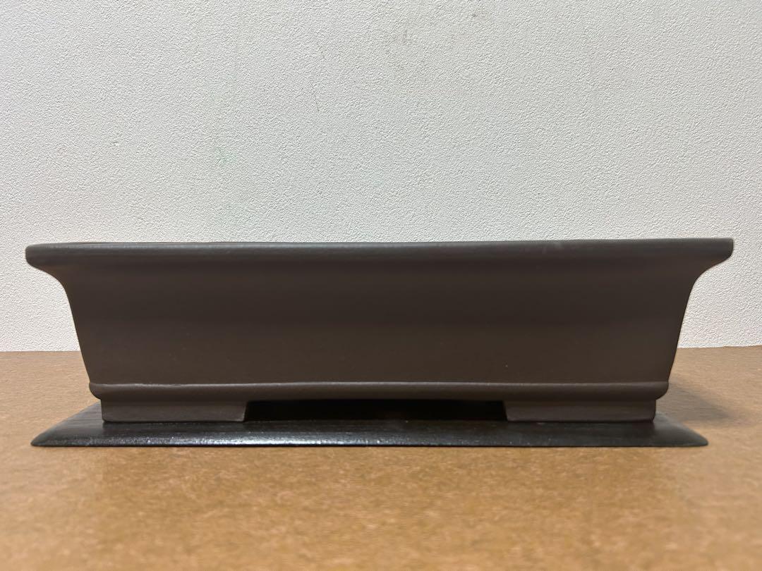 喜仙　盆栽鉢