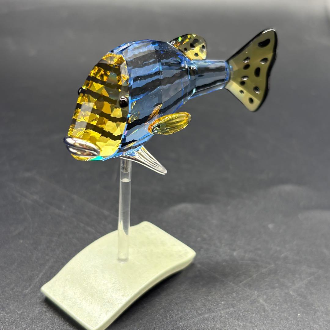 箱付き スワロフスキー 魚 置物 オブジェ 熱帯魚 no.175 - メルカリ