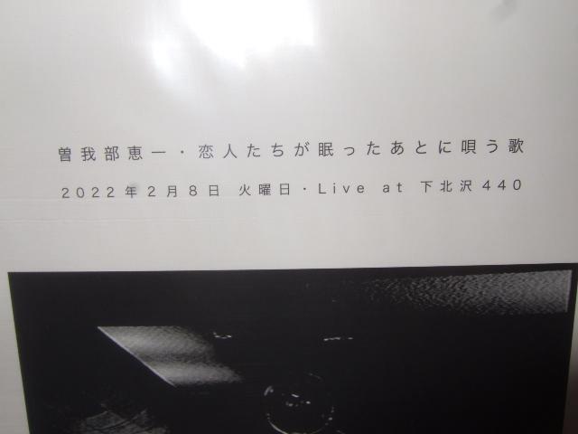 曽我部恵一,新品LP, アナログ, レコード, サニーデイ・サービス