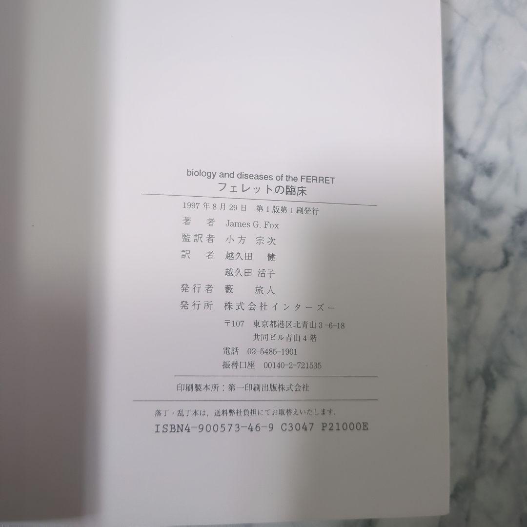フェレットの臨床
