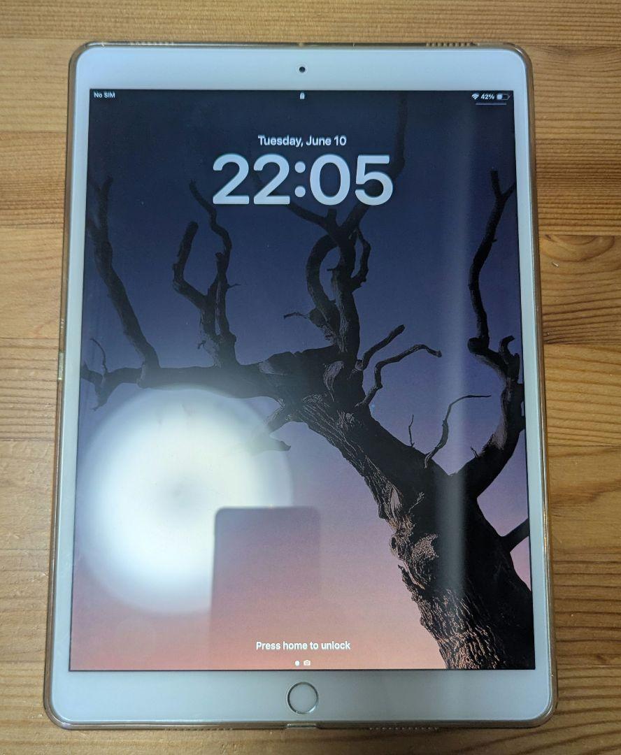 Apple iPad Pro 10.5インチ シルバー 本体