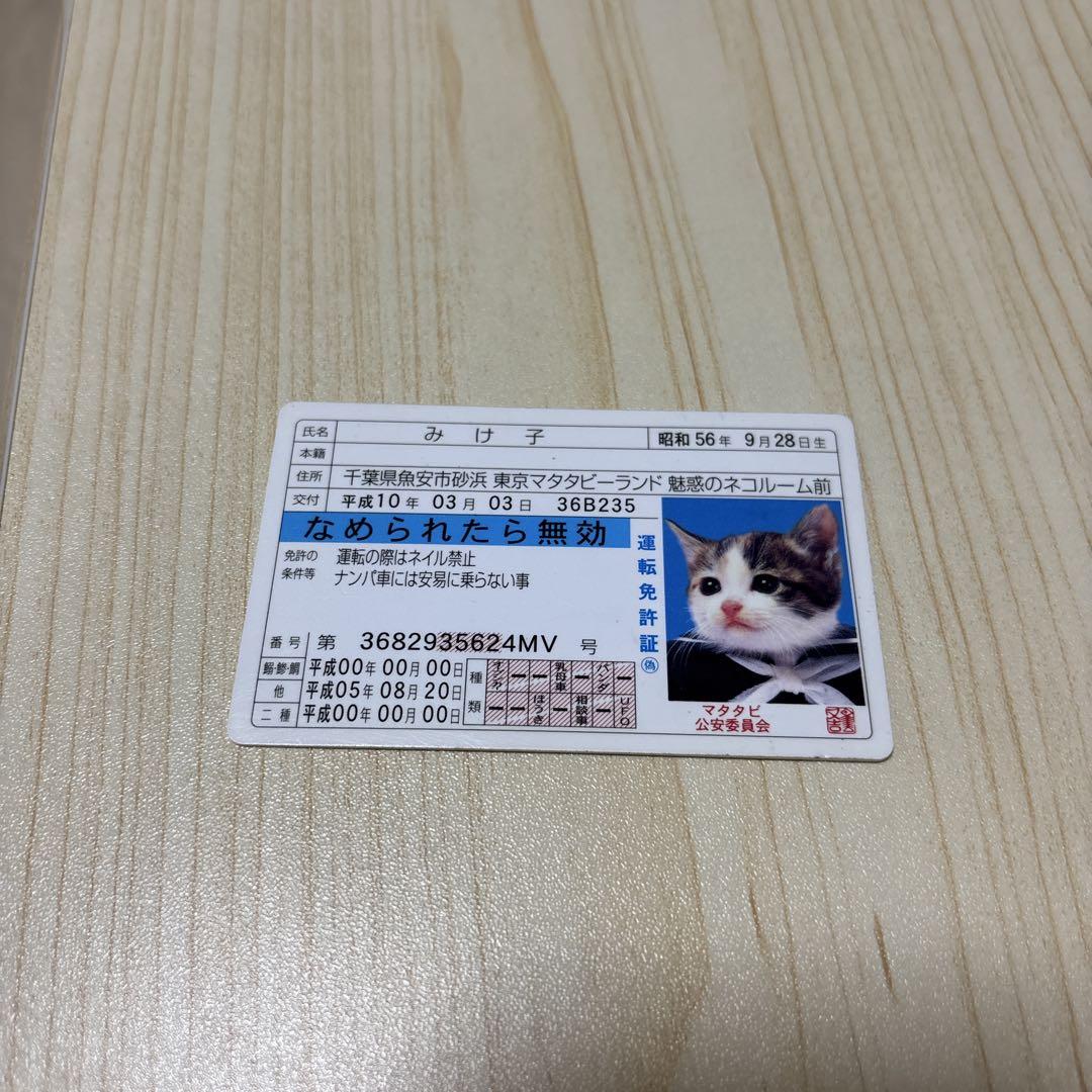 なめ猫 免許証風 ブロマイド みけ子】なめんなよ猫 なめねこ